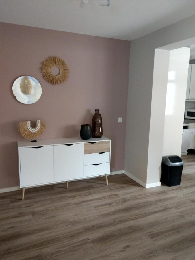 Volledig Gerenoveerd - Huis Aan Het Strand -Nieuwstraat 4 Zoutelande Exterior foto
